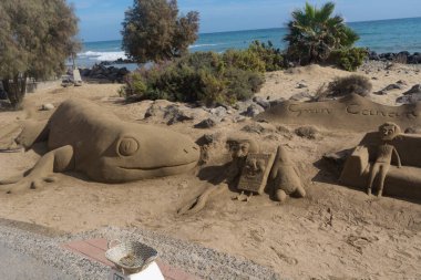 CRAN CANARIA, MELONERAS - 13. Kasım 2019