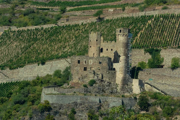 Ruine Der Burg Ehrenfels Ruedesheim Lein Leingau Hessen ドイツ — ストック写真