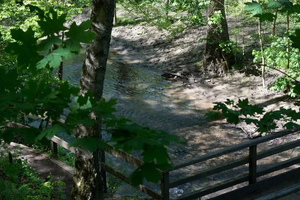 On the community narrow path of narrow stepping stones with handrail in the middle of a forest with tall trees at sunset or sunrise.