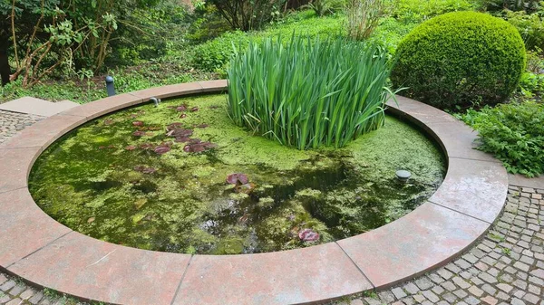 Fontaine Dans Jardin Paysager — Photo
