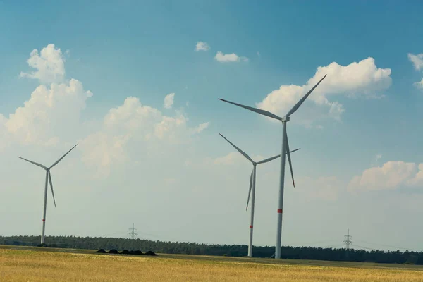 Стала Зелена Енергія Електричні Вітряки Сході Сонця — стокове фото