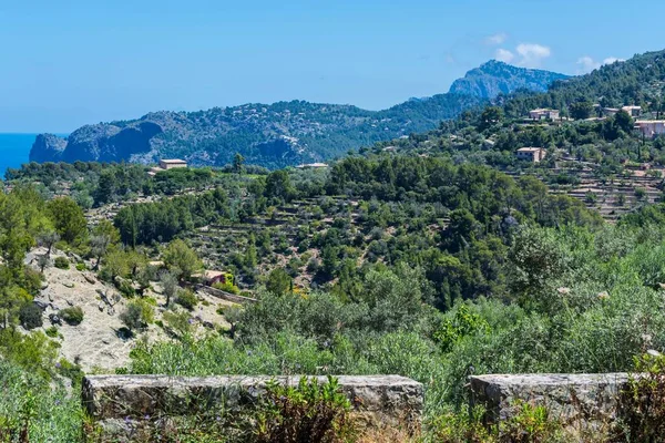 Dziki Zachód Wybrzeża Miasta Mallorca Hiszpania Tle Morza Śródziemnego — Zdjęcie stockowe