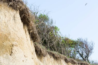 Baltık Denizi Yarımadası Darss 'taki Ahrenshoop Köyü' nün tepesinde. (Almanya) sonbahar zamanında.