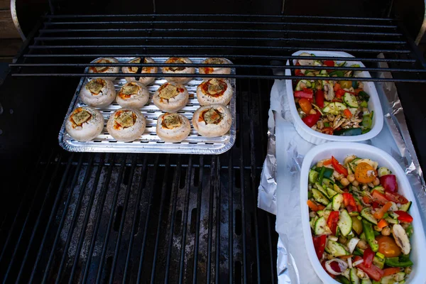 Irani Eller Irani Paneer Tikka Tikka Förrätt Serveras Vit Maträtt — Stockfoto