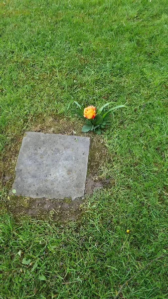 Απλός Τάφος Γκαζόν Διακοσμημένος Πολύχρωμα Λουλούδια — Φωτογραφία Αρχείου
