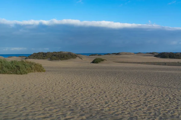 Parque Nacional Maspalomas Dunas Areia Gran Canaria Ilhas Canárias Espanha — Fotografia de Stock