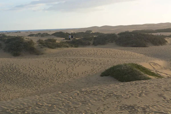 砂の中の連動パターン Maspalomas Cran Canaria — ストック写真