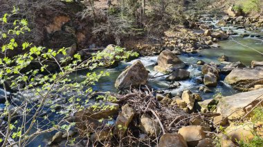 Sonbaharda ormanda şelale, Irrel şelaleleri.