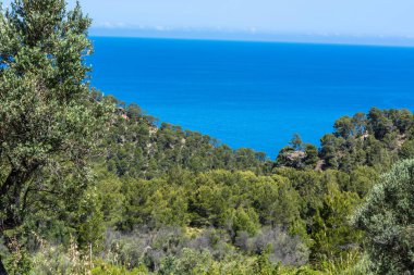 Vahşi Batı kıyı şeridi Mallorca, İspanya'nın Akdeniz arka planda.