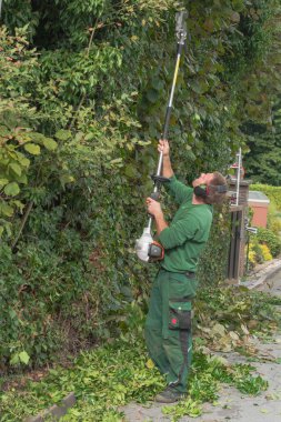 Çit budayıcı motorla çit kesmek.