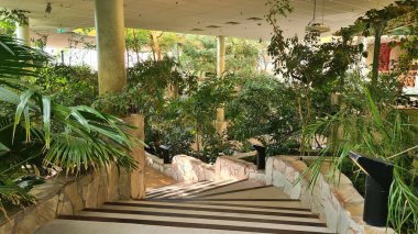 Şelalesi ve gölü olan cennet ormanı