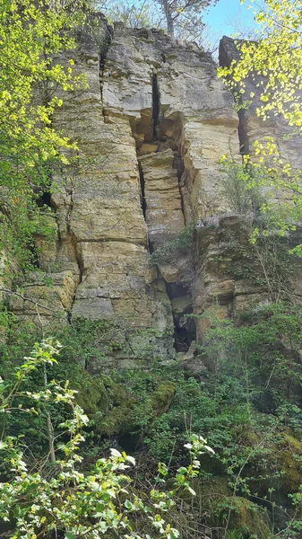 Old Vineyards Rosport Moselle Valley Border Luxembourg Germany Hiking Trail — Photo