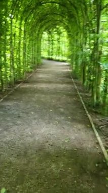 Kleve, Almanya yakınlarındaki Bedburg-Hau Şatosu Moyland