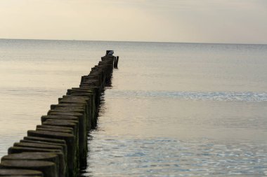 Tahta bir dalgakıranın üzerinde duran beyaz martılar. Bir sıra kütük deniz tabanına sürülmüş. Kuşlar neler olduğunu izliyorlar. Martılar dalgakıranın üzerinde dinlenir. Deniz dalgaları dalgalar boyunca hareket eder..