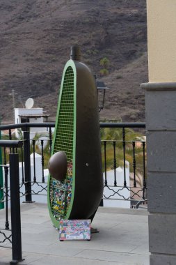 CRAN CANARIA, MOGAN - 15 Kasım 2019