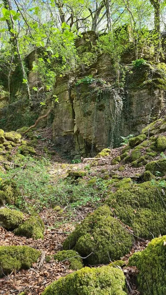 Old Vineyards Rosport Moselle Valley Border Luxembourg Germany Hiking Trail — Stock fotografie