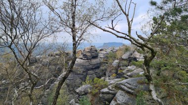 Elbe Kum Taşı Dağlarında Bastei Saksonya Almancası