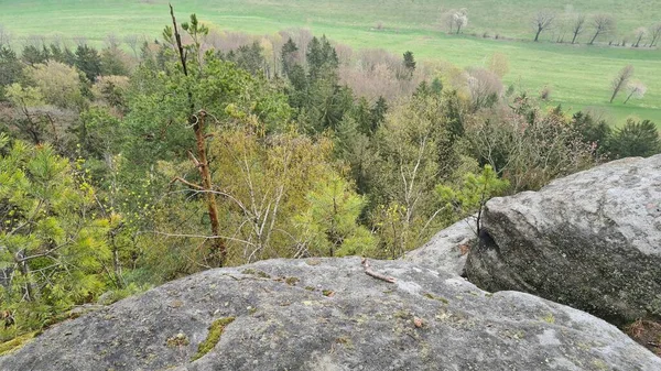 Bastei Łabie Góry Piaskowca Saksonia Niemiecki — Zdjęcie stockowe