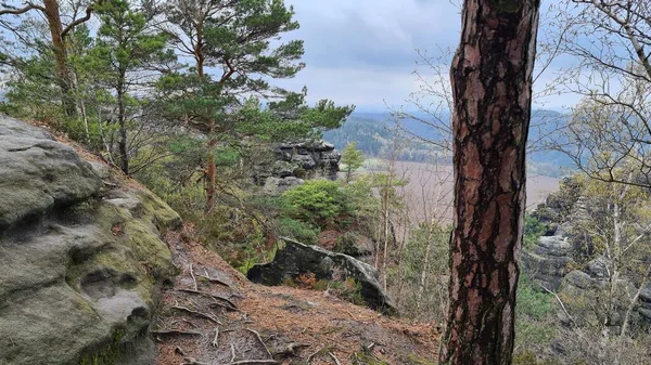 Bastei Łabie Góry Piaskowca Saksonia Niemiecki — Zdjęcie stockowe