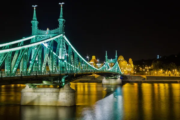 Liberty Bridge Budapest Royaltyfria Stockfoton