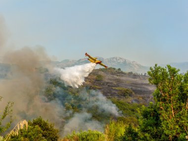 Canadair eylem