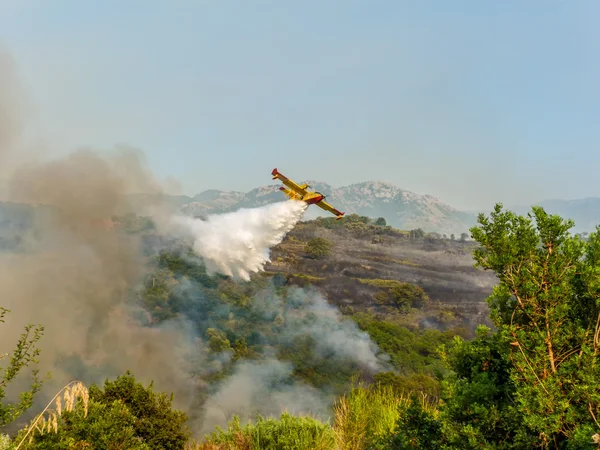 Canadair в действии — стоковое фото