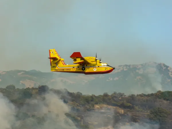 Canadair i aktion Stockfoto