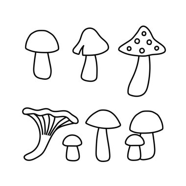 Bir dizi mantar karalaması. Chanterelle 'in görüntüsü, akarik, huş ağacı kabuğu, porcini mantarı, mantar, çıkartma, dekor ve kartpostallar için sonbahar bitkilerinin siyah çizimi. Bitkilerin vektör ögesi