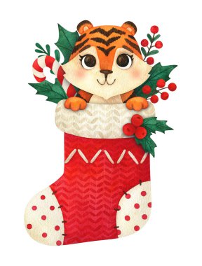 Noel çorabında çizgi film kaplanı. 2022 yılının yeni yıl baskısı için bir hayvan. Beyaz arka planda izole edilmiş bir çocuk karakterinin suluboya çizimi. Kartpostal süslemek için kompozisyon