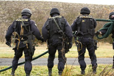 Polis
