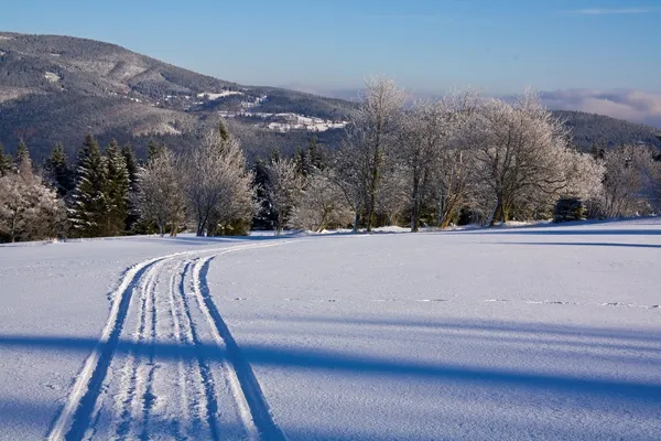 Vinter — Stockfoto