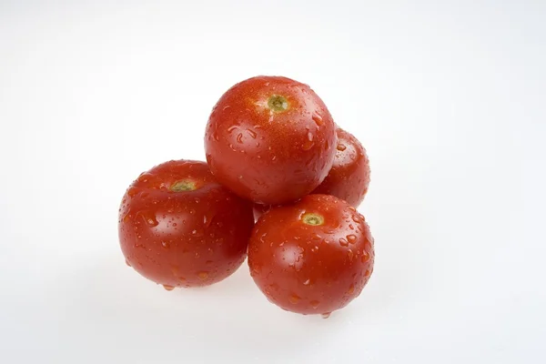 Tomaten — Stockfoto