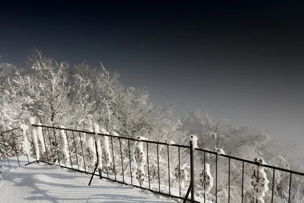 雪 — ストック写真