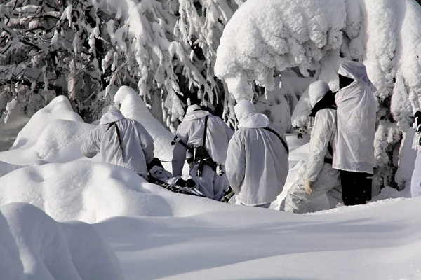 Vinter — Stockfoto