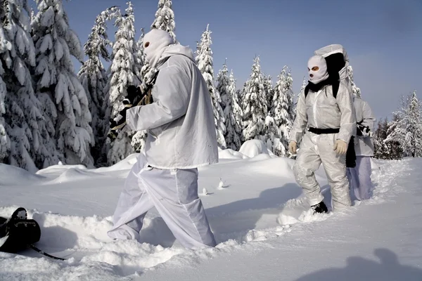 Vinter — Stockfoto