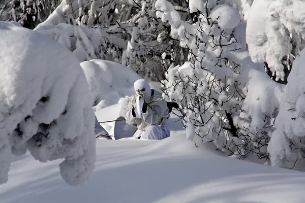 Vinter — Stockfoto