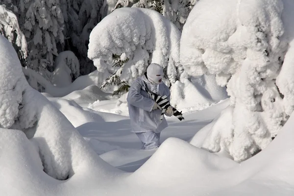 Vinter — Stockfoto