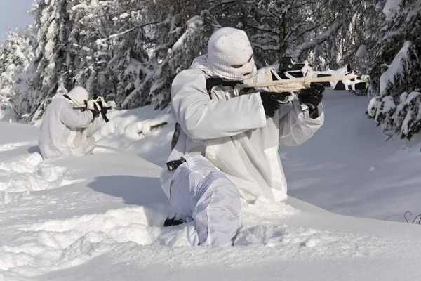 Winter Rechtenvrije Stockafbeeldingen