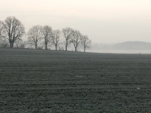 Invierno — Foto de Stock