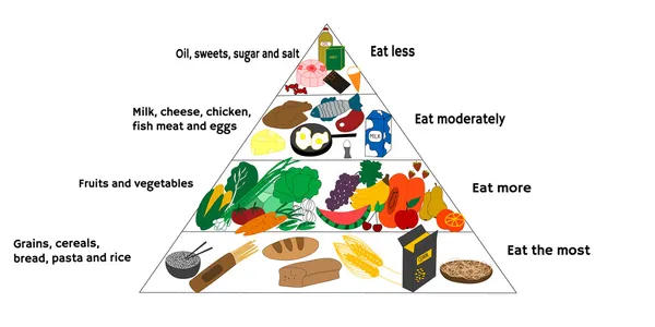 Lebensmitteldiagramm — Stockvektor