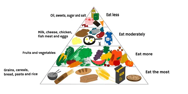 Schemat żywności — Wektor stockowy