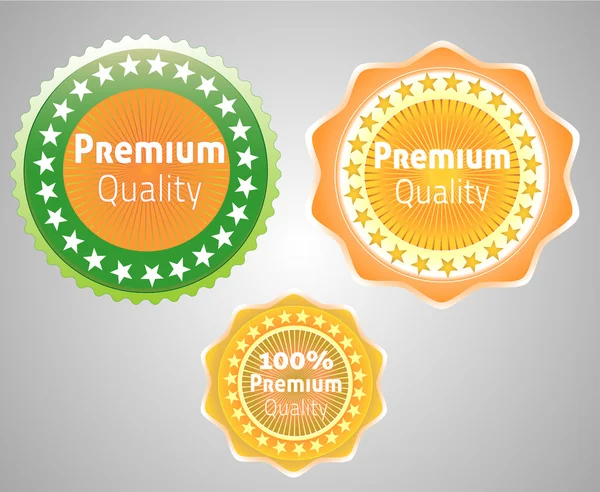Premium quality vector label — Stock Vector