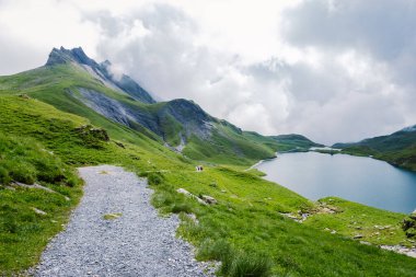 Grindelwald, İsviçre Grindelwald. Arka planda Mattenberg 'in parçaları, Bachalpsee Gölü' nün yukarısında Bernese sıradağları var. En yüksek tepeler Eiger, Jungfrau ve Faulhorn ünlü yerlerdedir. İsviçre Alpleri
