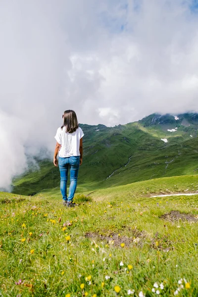 Grindelwald, İsviçre Grindelwald. Arka planda Mattenberg 'in parçaları, Bachalpsee Gölü' nün yukarısında Bernese sıradağları var. En yüksek tepeler Eiger, Jungfrau ve Faulhorn ünlü yerlerdedir. İsviçre Alpleri