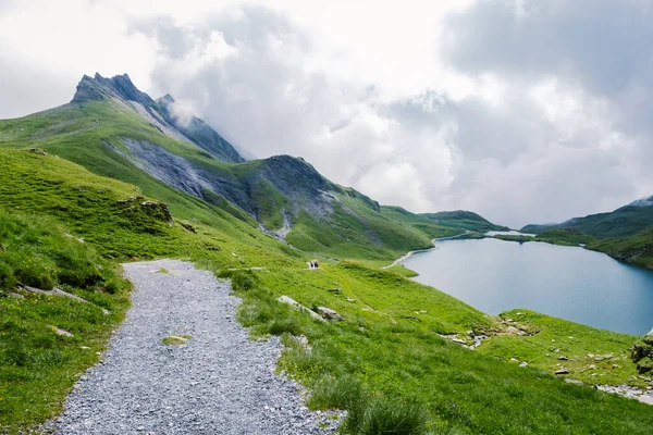 Grindelwald, İsviçre Grindelwald. Arka planda Mattenberg 'in parçaları, Bachalpsee Gölü' nün yukarısında Bernese sıradağları var. En yüksek tepeler Eiger, Jungfrau ve Faulhorn ünlü yerlerdedir. İsviçre Alpleri