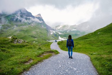 Grindelwald, İsviçre Grindelwald. Arka planda Mattenberg 'in parçaları, Bachalpsee Gölü' nün yukarısında Bernese sıradağları var. En yüksek tepeler Eiger, Jungfrau ve Faulhorn ünlü yerlerdedir. İsviçre Alpleri