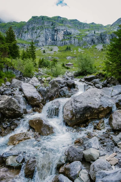 Atractiva mañana de verano en el único lago Oeschinensee. Maravillosa escena al aire libre en los Alpes suizos con Bluemlisalp montaña, Kandersteg pueblo ubicación, Suiza, Europa —  Fotos de Stock