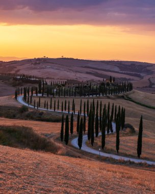 Tuscany manzarası, tahıl tarlaları, selvi ağaçları ve gün batımında tepelerde evler. Tuscany, İtalya, Avrupa, İtalya, Tarım Bakolenosu 'nda kıvrımlı yolu olan yaz kırsal arazisi 