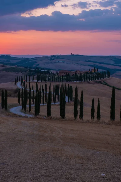 Paisaje toscano con campos de grano, cipreses y casas en las colinas al atardecer. Paisaje rural de verano con carretera curva en Toscana, Italia, Europa, Italia, Agriturismo Baccoleno —  Fotos de Stock