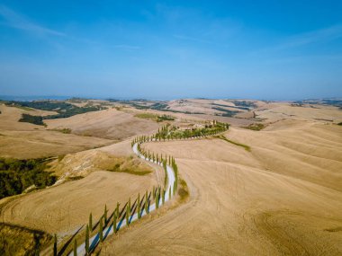 Tuscany manzarası, tahıl tarlaları, selvi ağaçları ve gün batımında tepelerde evler. Tuscany, İtalya, Avrupa, İtalya, Tarım Bakolenosu 'nda kıvrımlı yolu olan yaz kırsal arazisi 